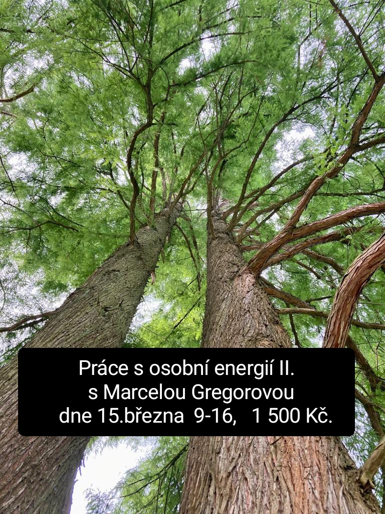 Práce s osobní energií II. s Marcelou Gregorovou