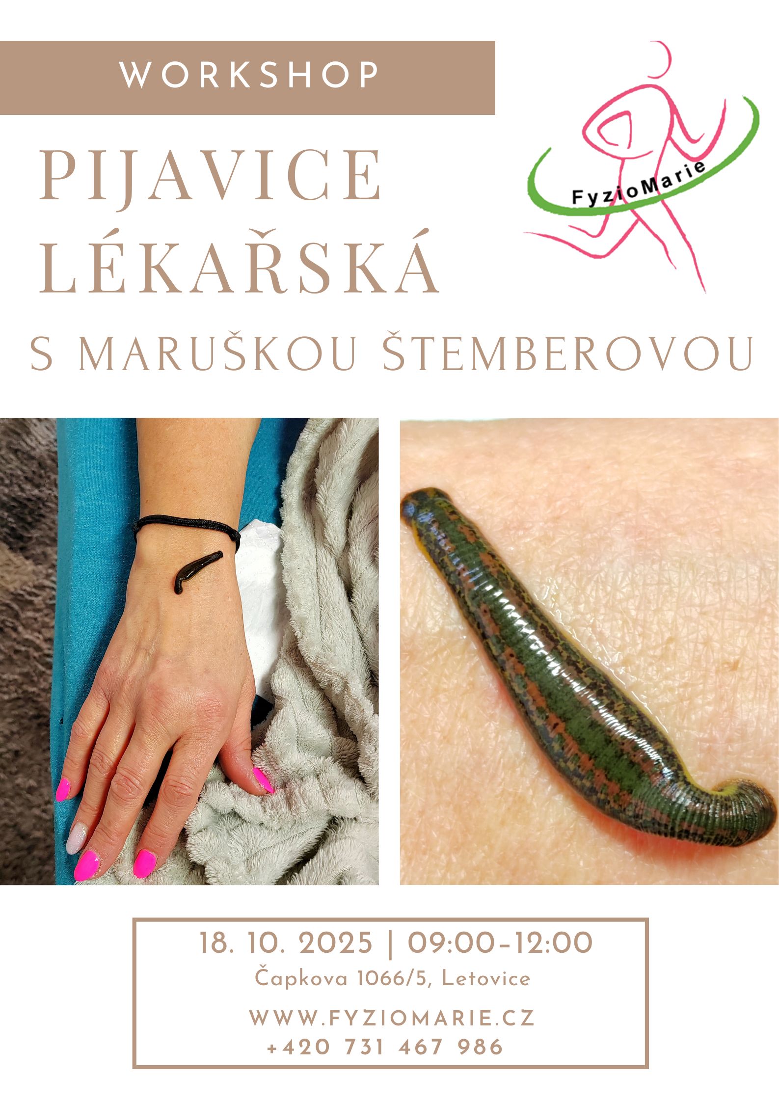 Pijavice lékařská (v případě zájmu o aplikaci pijavičky na místě cena činí 150,-Kč / ks)